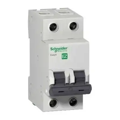 tmp_14551_0_CB-Schneider-electric-2p-25a_1